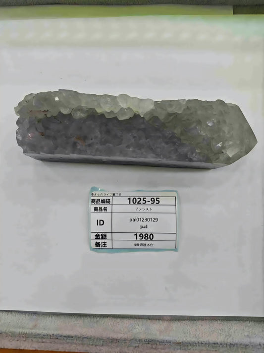 annkoromoti07_pal01230129