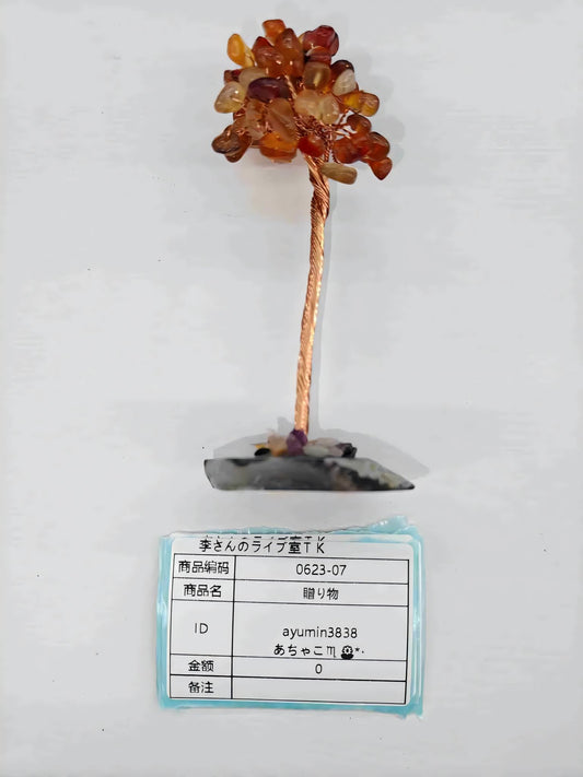 ayumin3838 user4537054201661