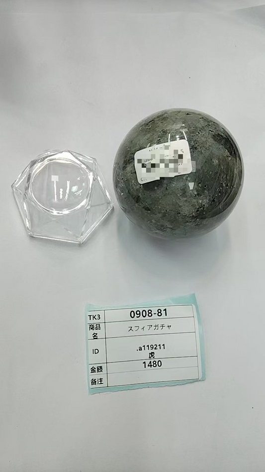 30367274209