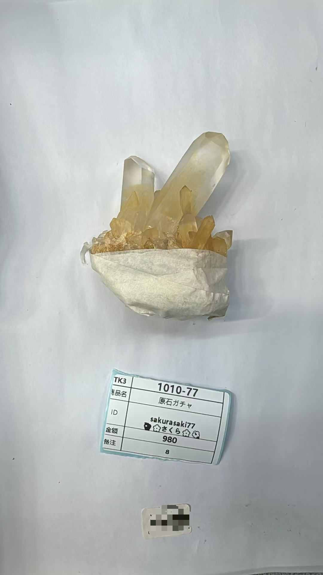 sakurasaki77