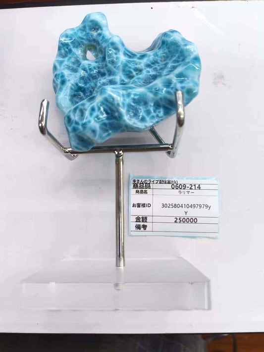 302580410497979y 6.9 前金代金