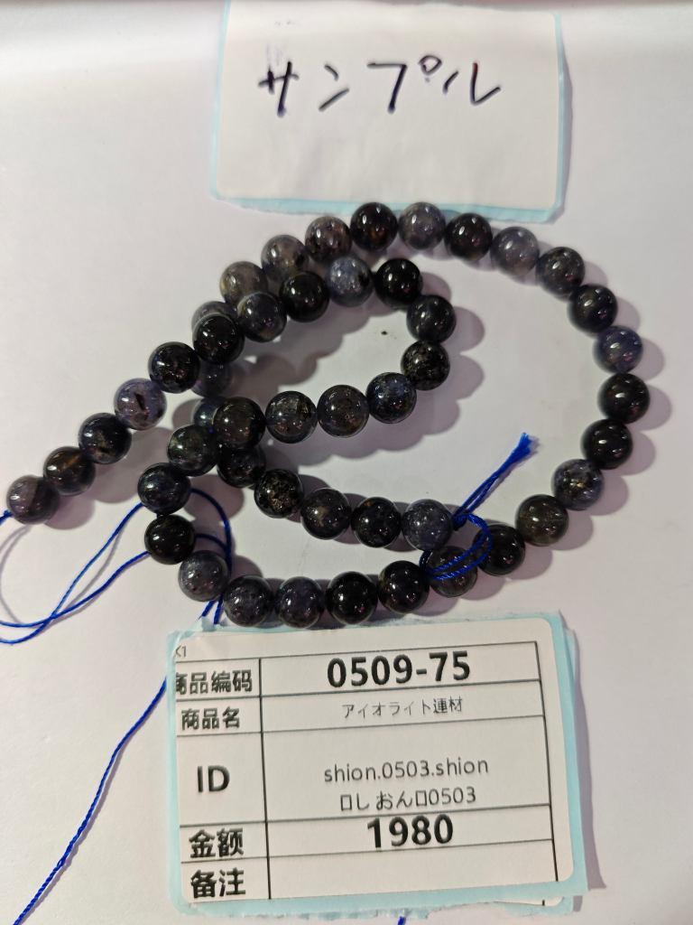 shion.0503.shion