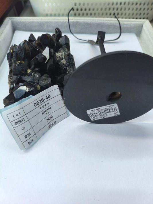 aki0831318