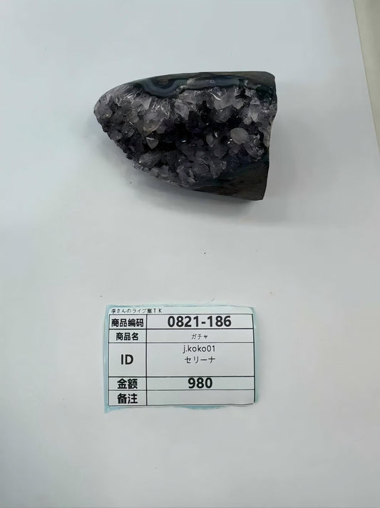 j.koko01