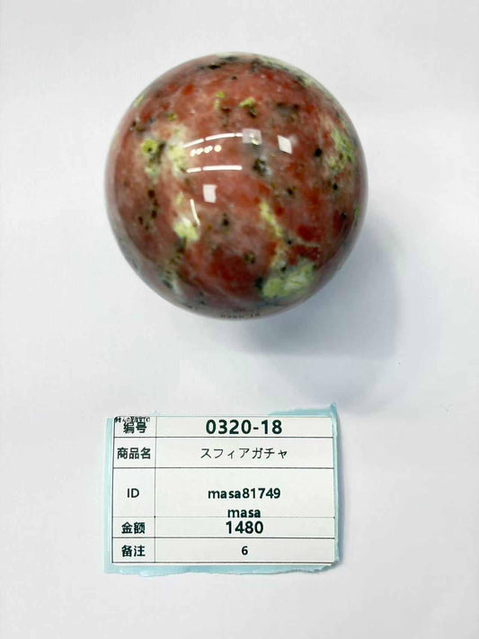 masa81749