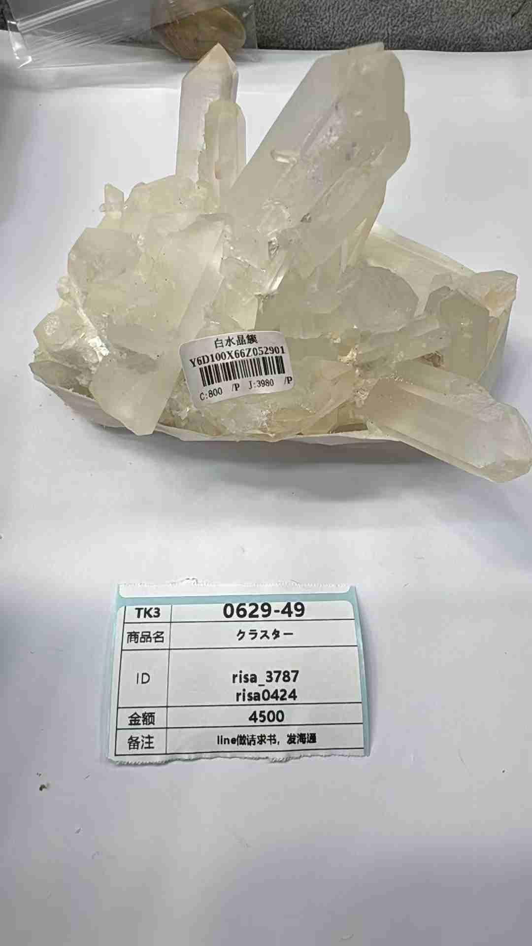 risa_3787