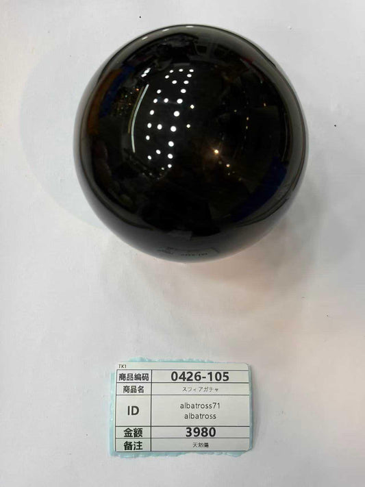 albatross71