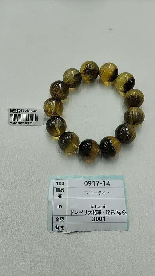 tatsunii