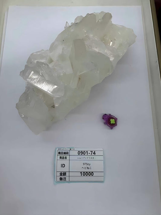 975oy